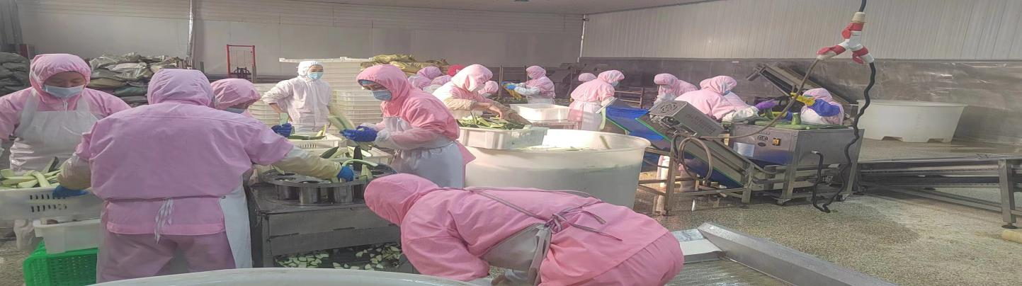 草莓视频下载污污版车间就新产品进行工艺改造