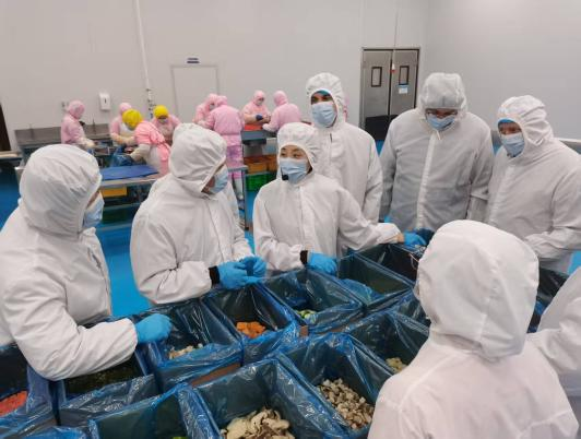 德国客户一行来我司深入考察冷冻草莓视频下载污污版产品出口质量
